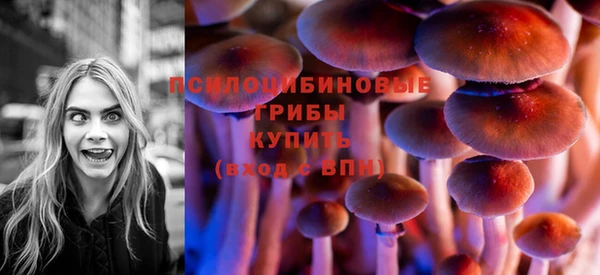 PSILOCYBIN Балабаново