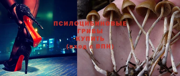 СК Арсеньев