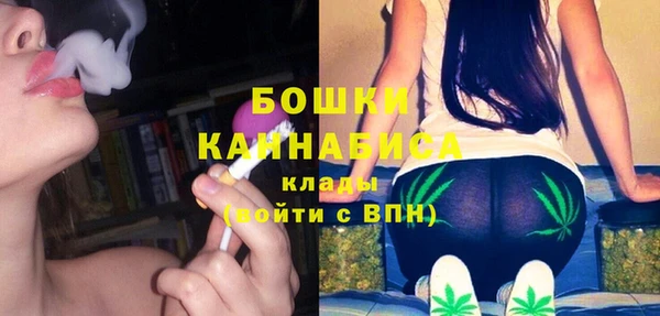 PSILOCYBIN Балабаново